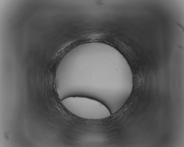 X0000100381158200806060819