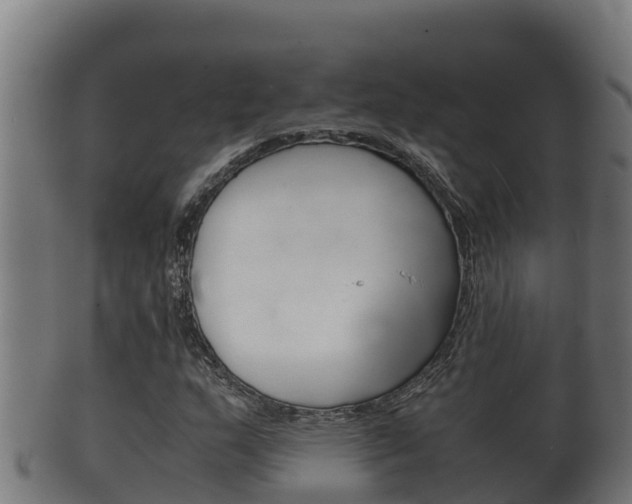 X0000100381159200806060819