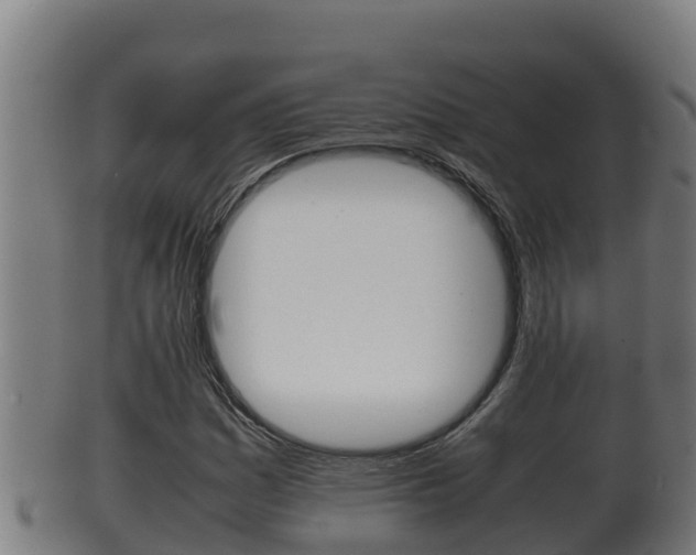 X0000100381161200806060819