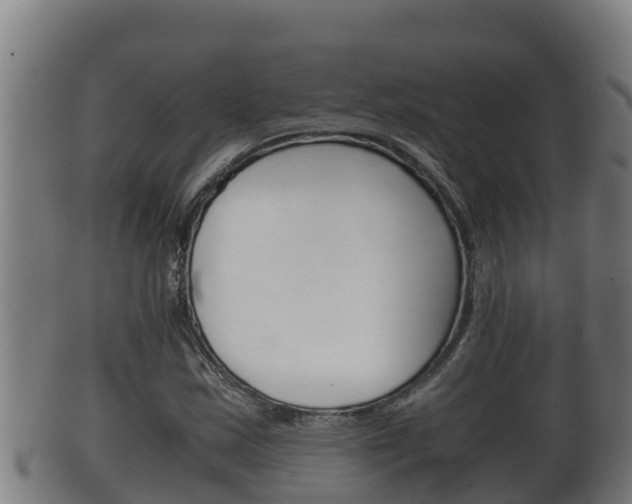 X0000100381163200806060819