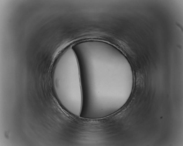 X0000100381164200806060819