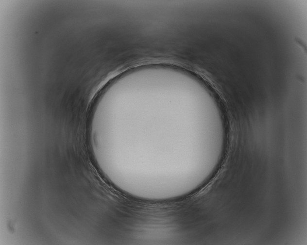 X0000100381165200806060819