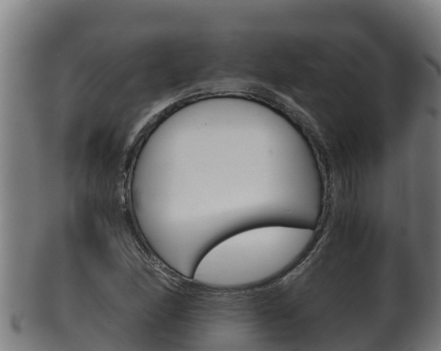 X0000100381166200806060819