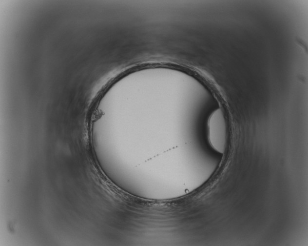 X0000100381167200806060819