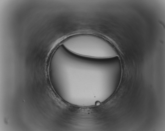 X0000100381168200806060819