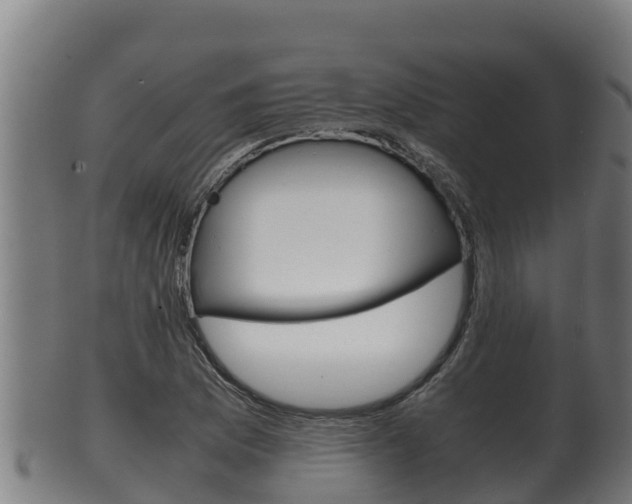 X0000100381169200806060819