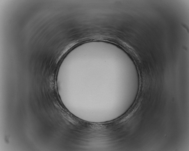 X0000100381170200806060819