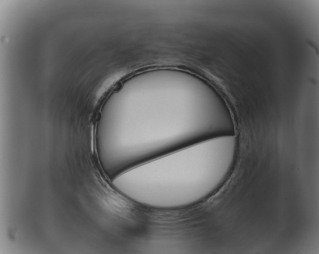 X0000100381171200806060819