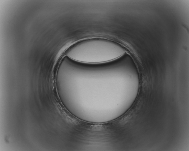 X0000100381172200806060819
