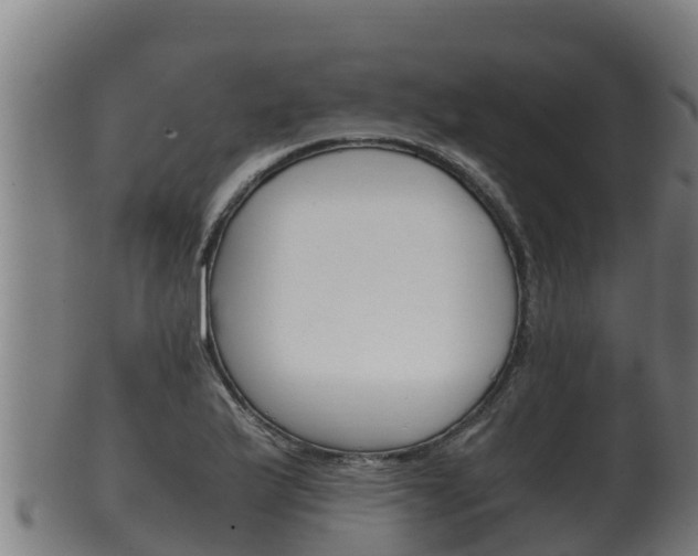 X0000100381175200806060819