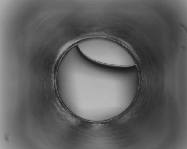 X0000100381176200806060819