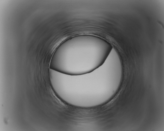 X0000100381177200806060819