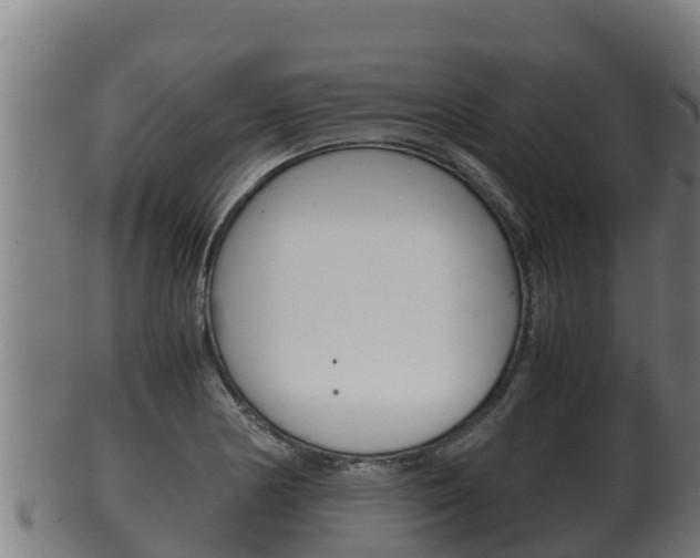 X0000100381178200806060819