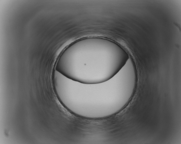 X0000100381181200806060819