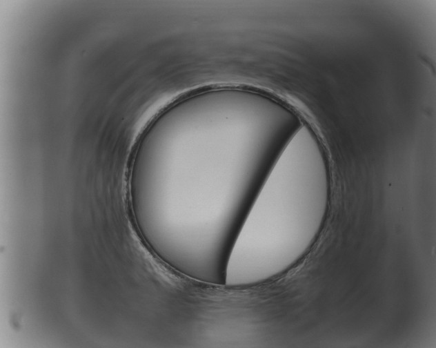 X0000100381183200806060819