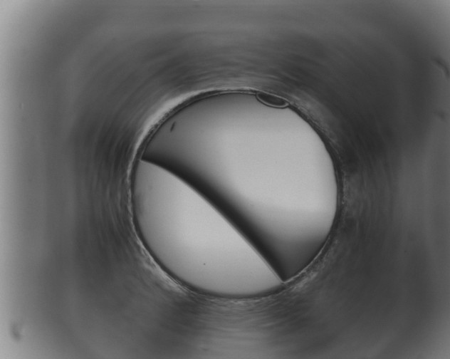 X0000100381184200806060819