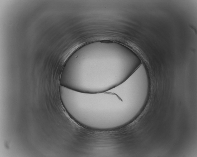 X0000100381185200806060819