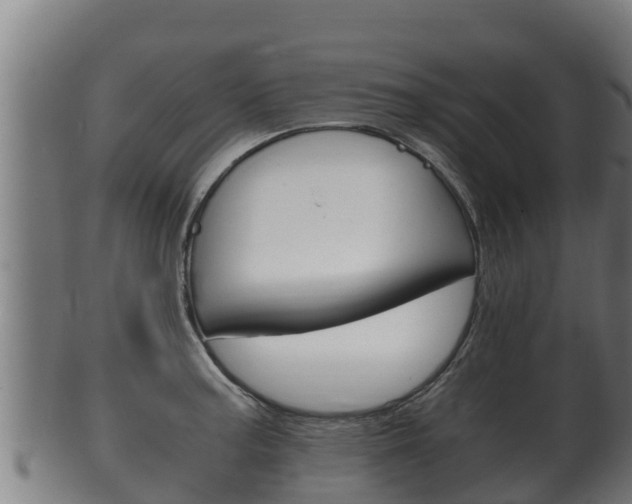 X0000100381187200806060819