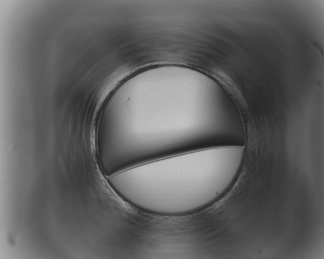 X0000100381188200806060819