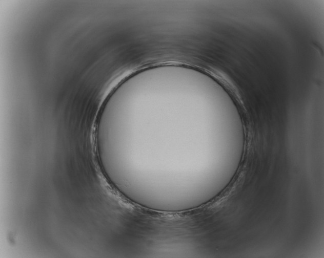 X0000100381190200806060819