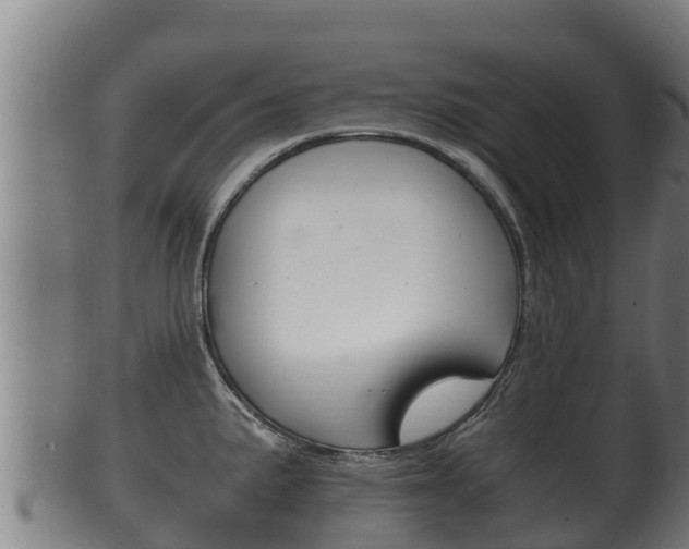 X0000100381191200806060819