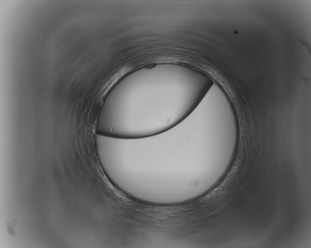 X0000100381193200806060819