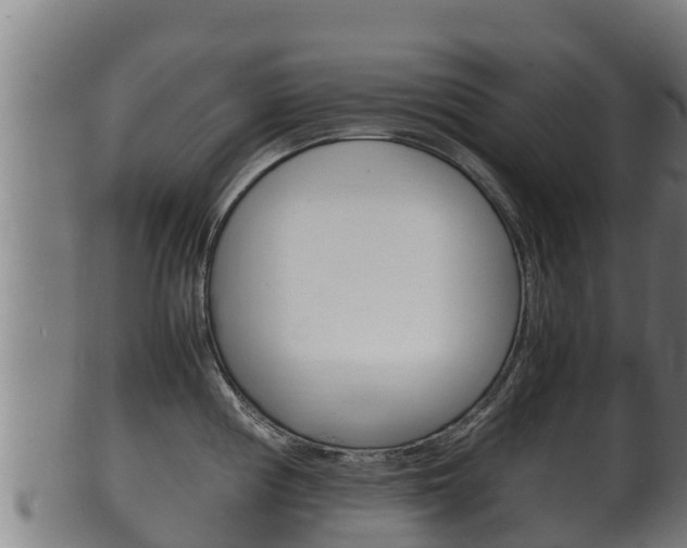 X0000100381194200806060819