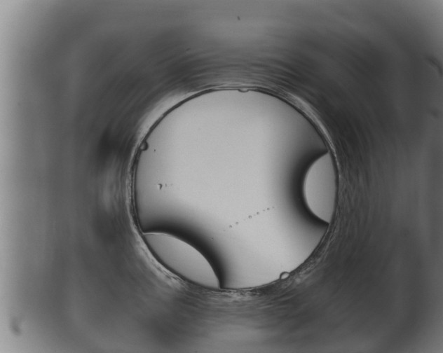 X0000100381195200806060819