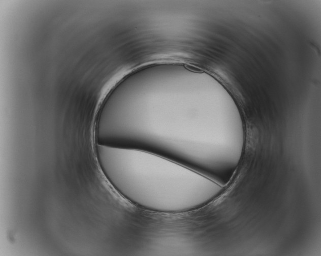 X0000100381196200806060819