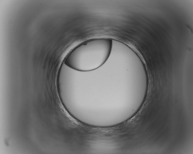 X0000100381197200806060819