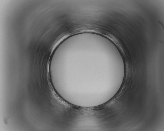 X0000100381198200806060819