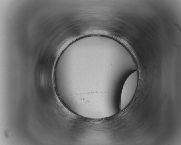 X0000100381199200806060819