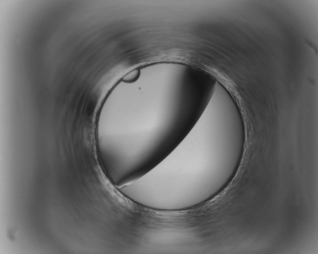 X0000100381200200806060819