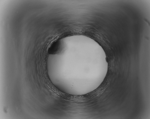 X0000100381201200806060818
