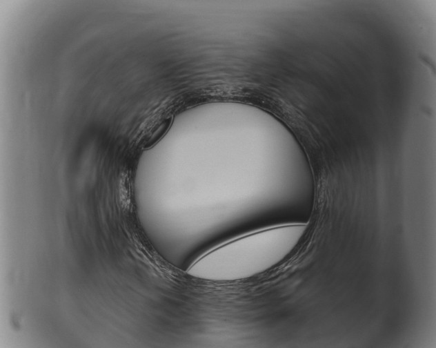 X0000100381202200806060818
