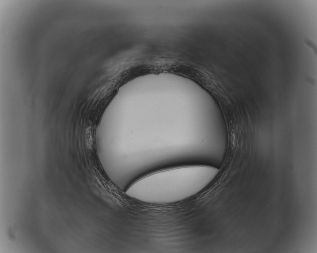 X0000100381204200806060818