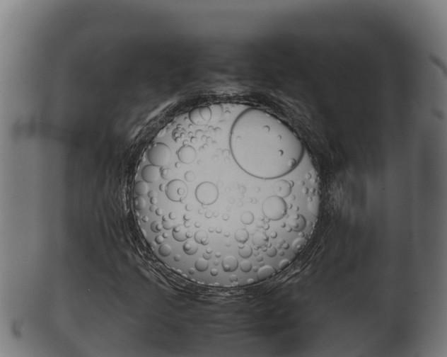 X0000100381205200806060818