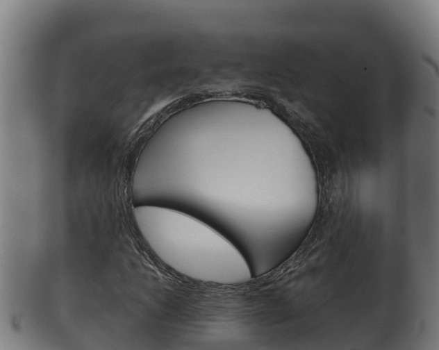 X0000100381206200806060818
