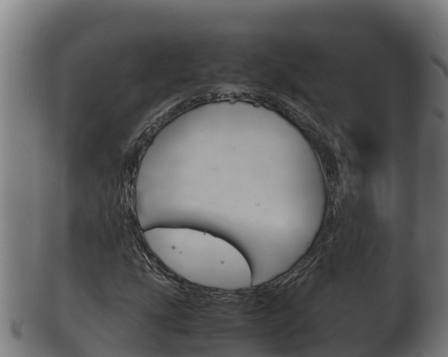 X0000100381207200806060818