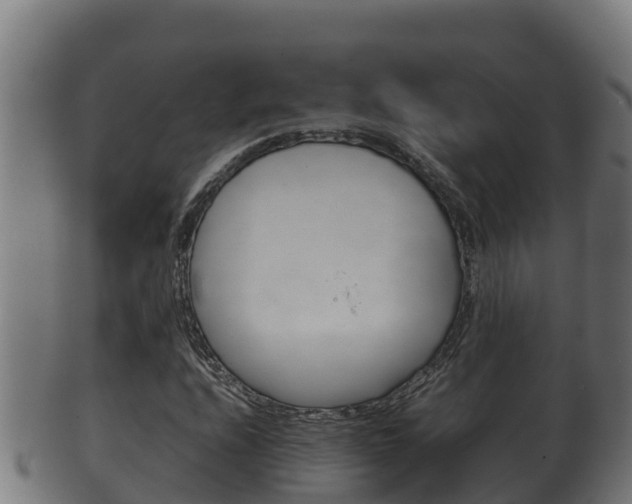 X0000100381208200806060818