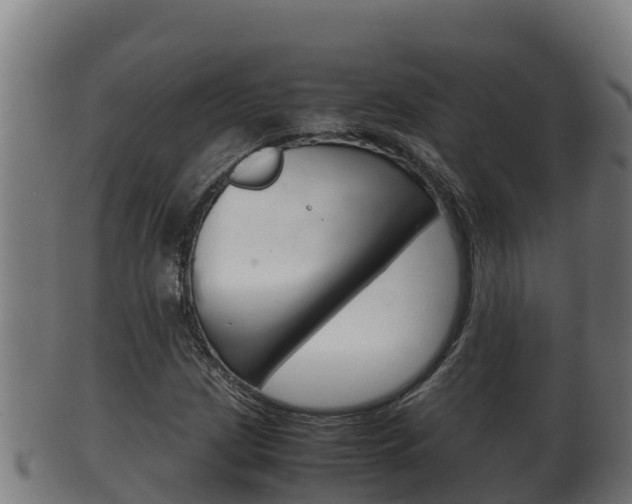 X0000100381209200806060818