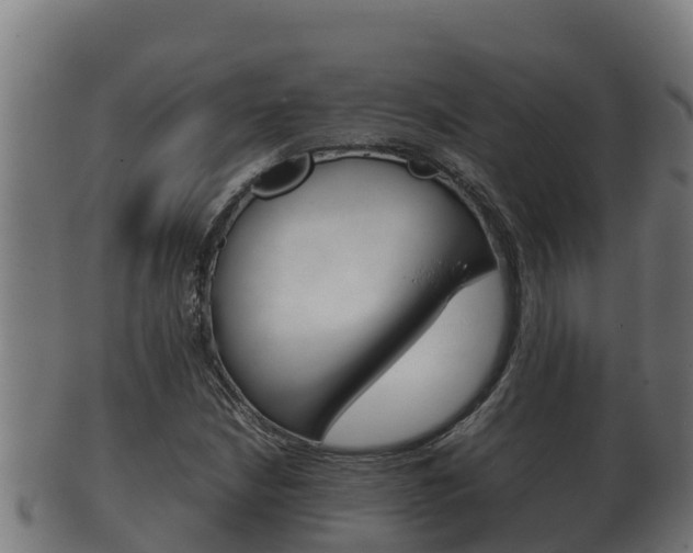 X0000100381210200806060818