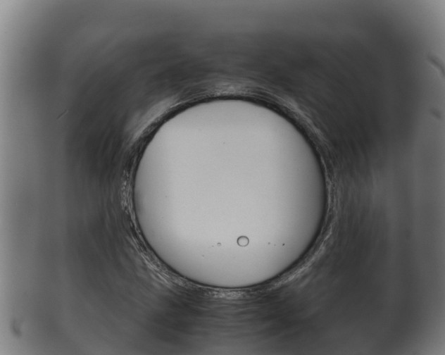 X0000100381211200806060818