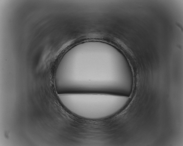 X0000100381213200806060818