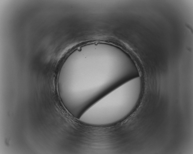 X0000100381214200806060818