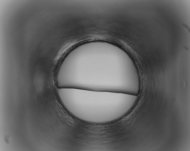 X0000100381215200806060818