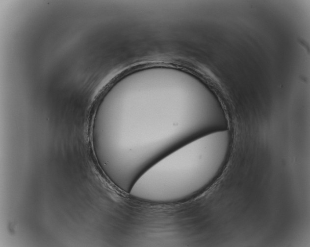 X0000100381216200806060818