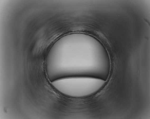 X0000100381217200806060818