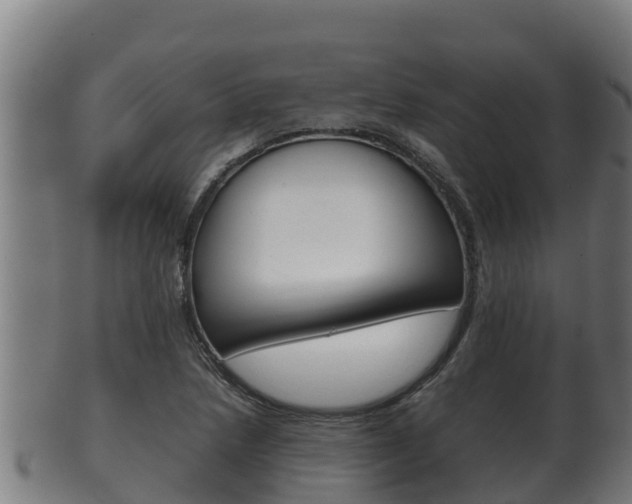 X0000100381218200806060818