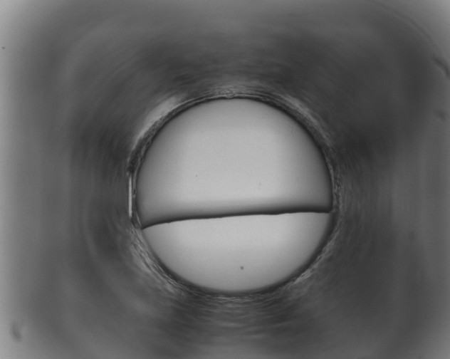 X0000100381219200806060818
